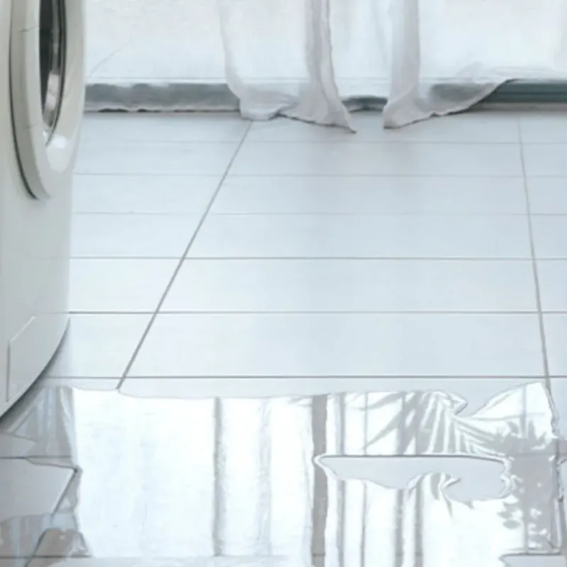 Appliance Leak Cleanup in Cullman County, AL