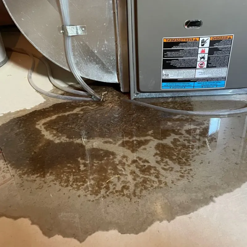 Pipe Burst and Leak Restoration in Cullman County, AL